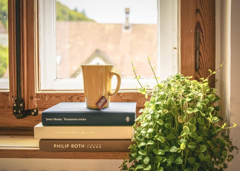 Wall-Mounted Planters